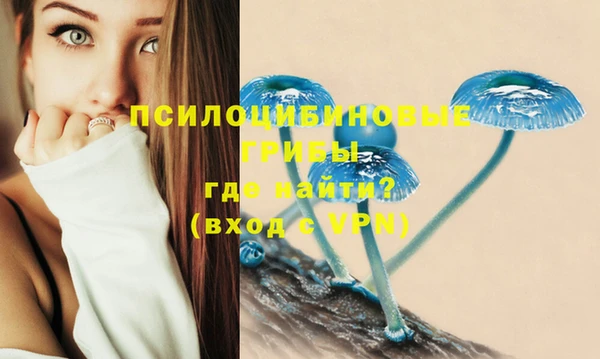 кокс Нягань