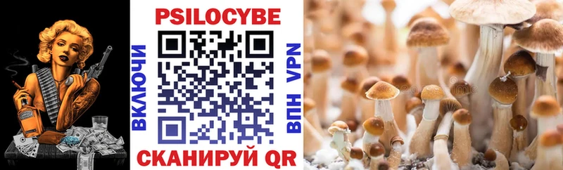 Галлюциногенные грибы MAGIC MUSHROOMS  Купить закладки  Гвардейск 