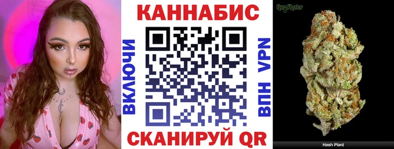 Конопля семена  Купить  Гвардейск 